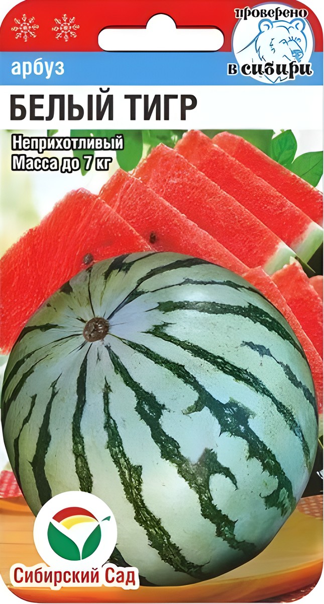 Арбуз Белый тигр, 5 шт. Сибирский сад.