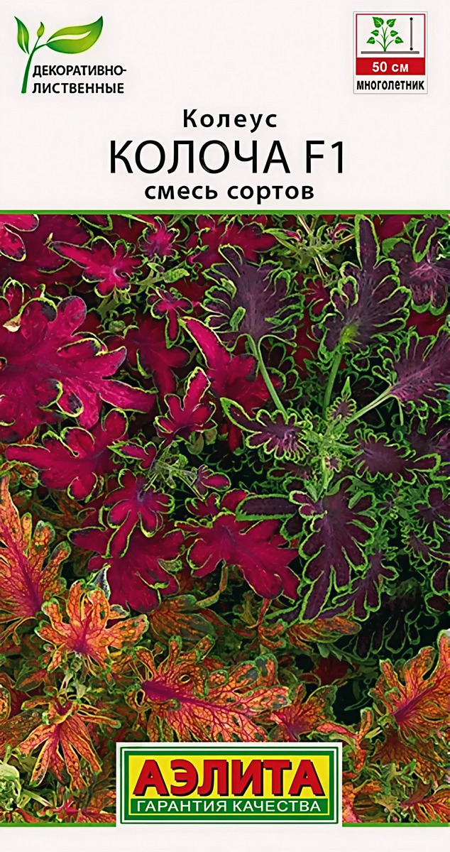 Колеус Колоча F1, смесь сортов, 5 шт.