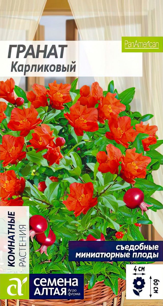 Гранат Карликовый, 5 шт. 