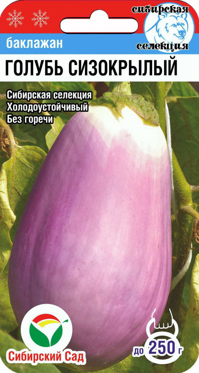 Баклажан Голубь сизокрылый, 20 шт. Сибирский сад.