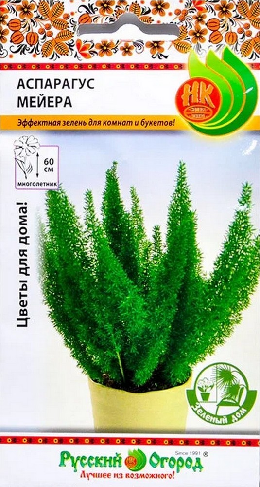 Аспарагус Мейера, 3 шт. Зеленый дом. Русский огород