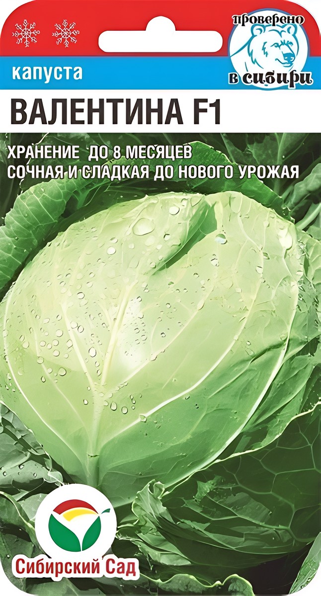 Капуста белокочанная  Валентина F1, 25 шт. Сибирский сад.