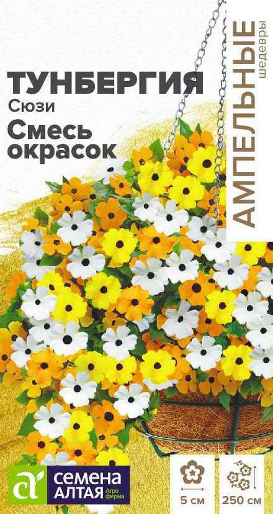 Тунбергия Сюзи Смесь окрасок крылатая, 4 шт. Ампельные Шедевры