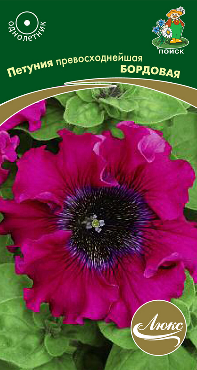 Петуния превосходнейшая Бордовая, 10 шт. Люкс
