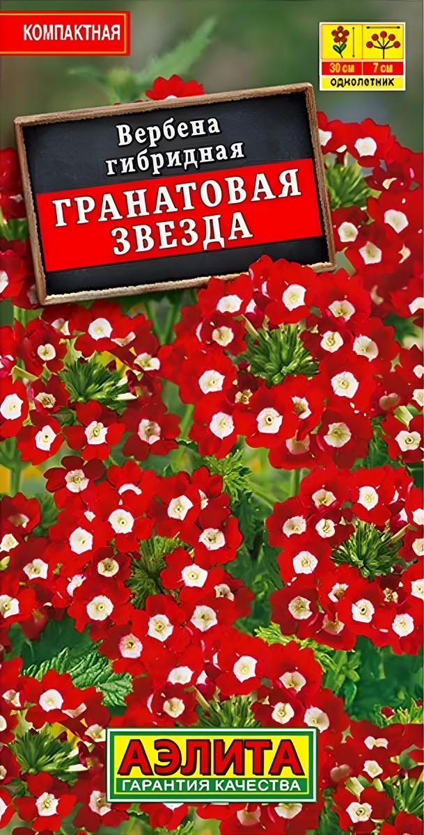 Вербена Гранатовая звезда, 30 шт.