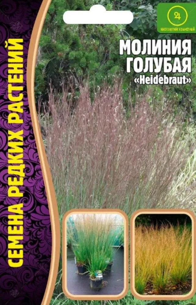 Молиния голубая "Heidebraut" 20 шт 