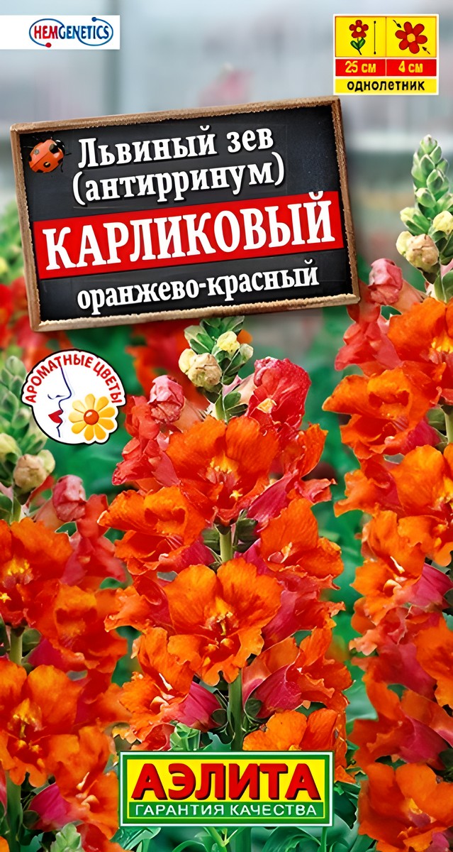 Львиный зев Карликовый, оранжево-красный, 10 шт.