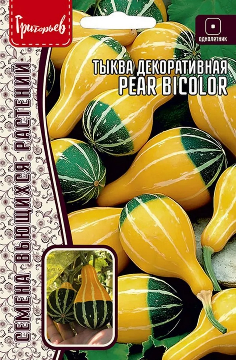 Тыква декоративная Pear Bicolor (Груша Биколор), 3 шт. 