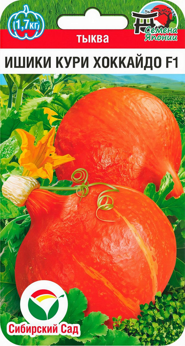 Тыква Ишики Кури Хоккайдо F1, 3 шт. Семена Японии. Сибирский сад