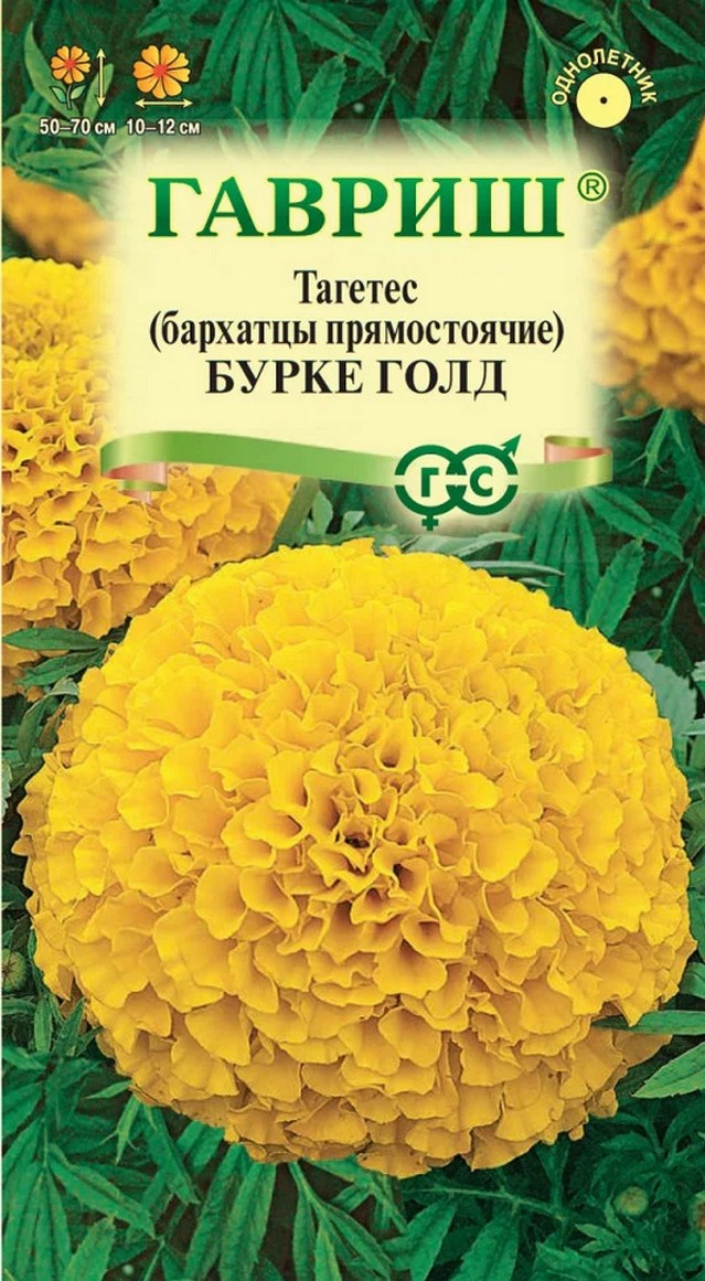 Бархатцы прямостоячие Бурке Голд, 0,3 г