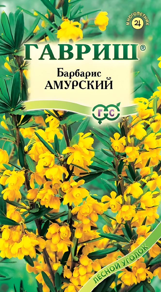 Барбарис Амурский, 0,2 г. Лесной уголок.