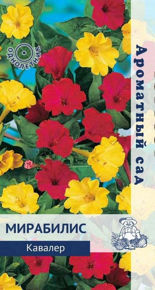 Мирабилис Кавалер, 1 г Ароматный сад