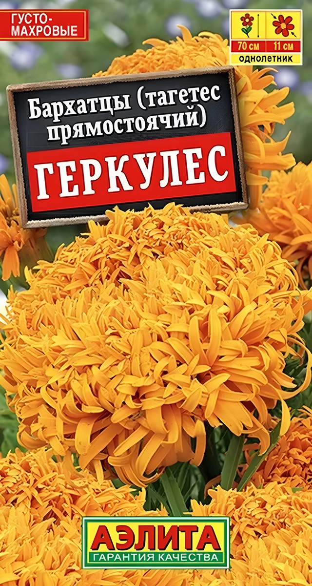 Бархатцы Геркулес прямостоячие, 0,2 г