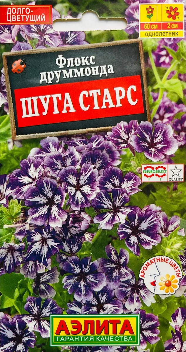 Флокс друммонда Шуга старс, 20 шт.
