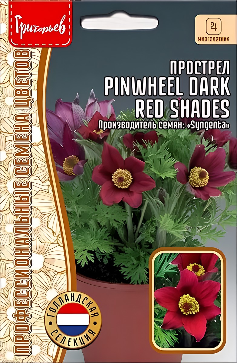 Прострел Pinwheel Dark Red Shade, 3 шт.