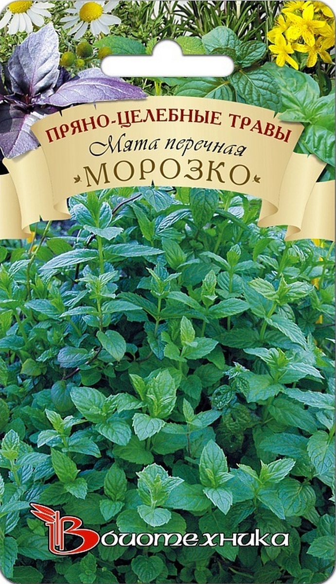 Мята перечная Морозко, 0,08 г. Биотехника