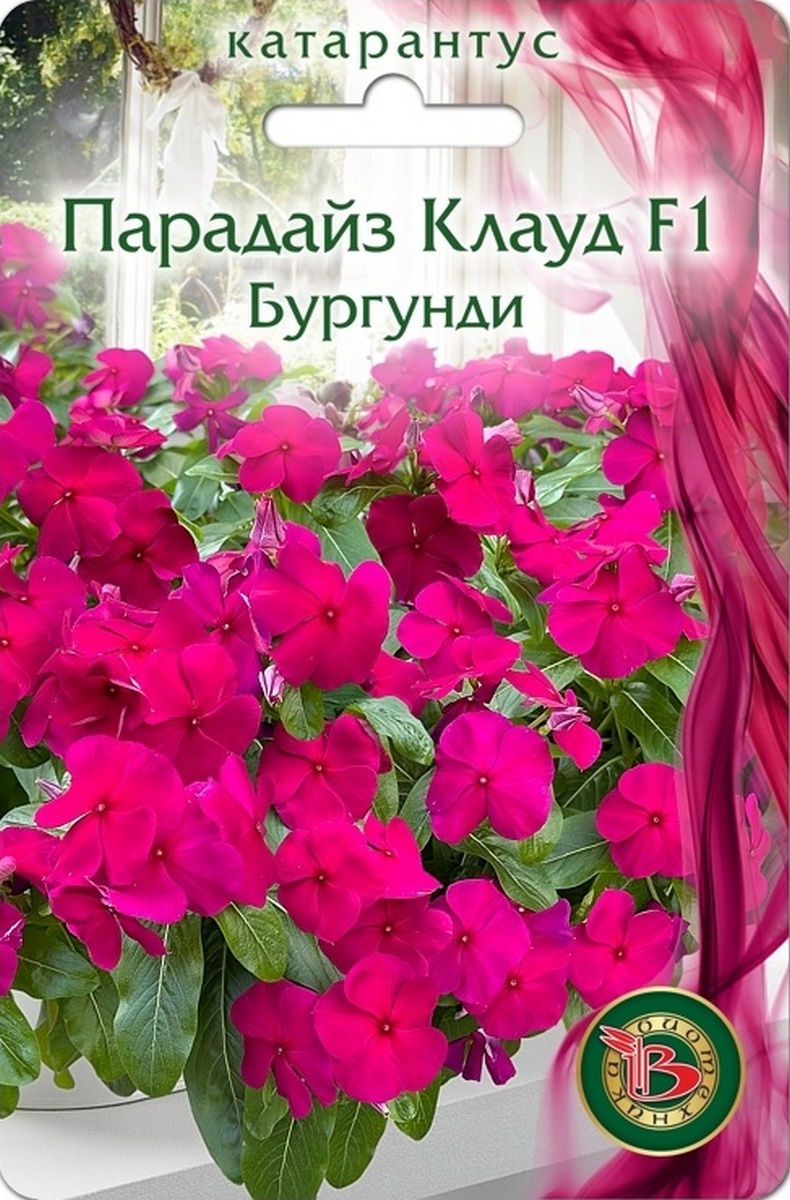 Катарантус Парадайс Клаут F1 Бургунди, 5 шт.