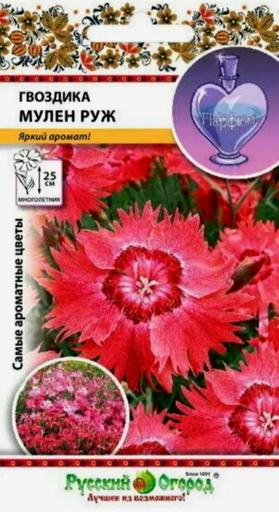Гвоздика Мулен Руж, смесь, 60 шт. Русский огород
