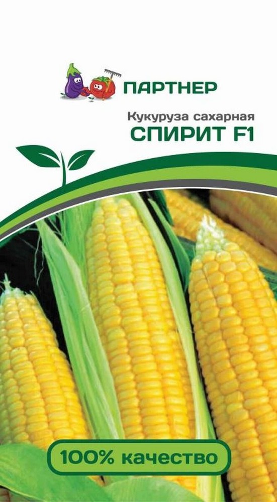 Кукуруза Спирит F1, 3 г. Агрофирма Партнер.