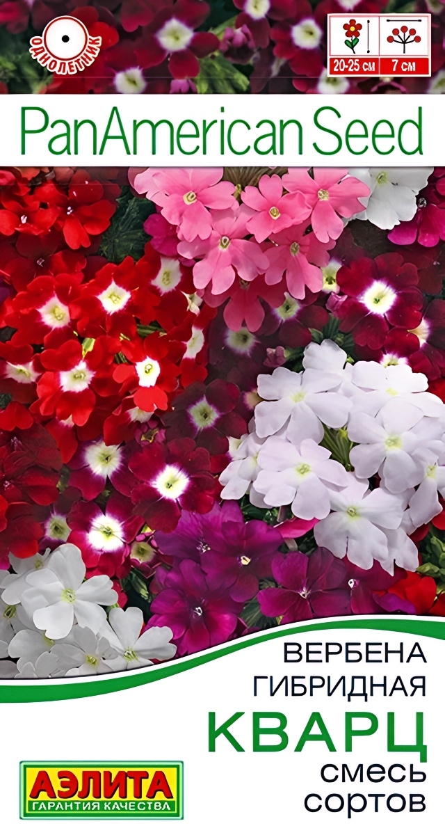 Вербена Кварц, смесь сортов, 7 шт. 
