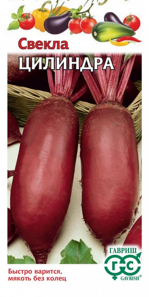 Свекла Цилиндра, 3 г. Гавриш.