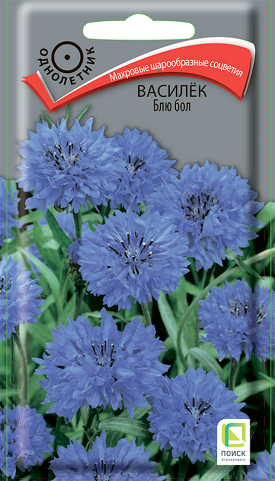 Василёк Блю Бол, 1 г
