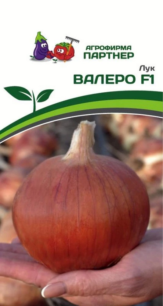 Лук Валеро F1, 0,5 г. Агрофирма Партнер.