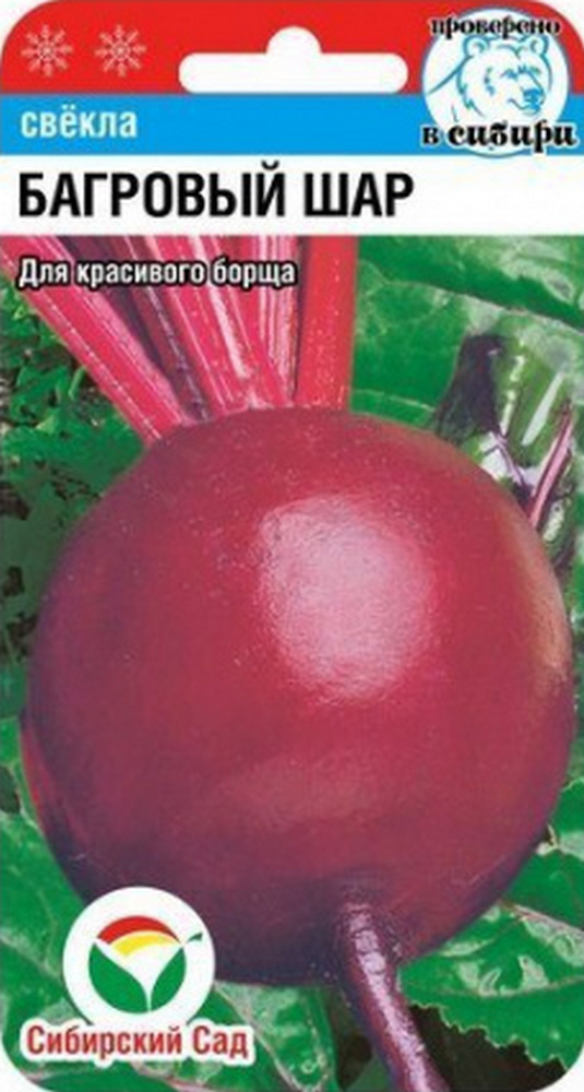 Свекла Багровый шар, 2 г. Сибирский сад