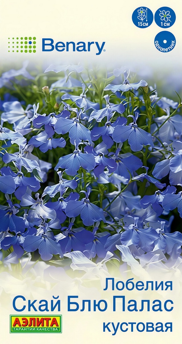 Лобелия Скай блю палас кустовая, 5 шт.
