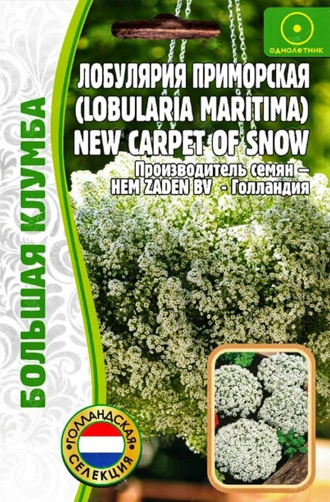 Алиссум (лобулярия) приморская New Carpet of Snow, 500 шт.