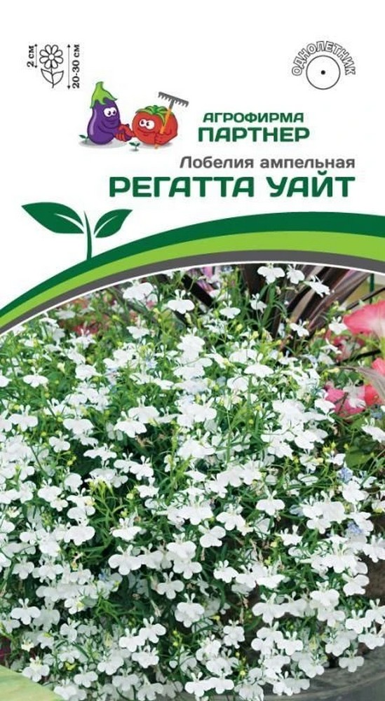 Лобелия ампельная Регатта Уайт, 10 шт. 