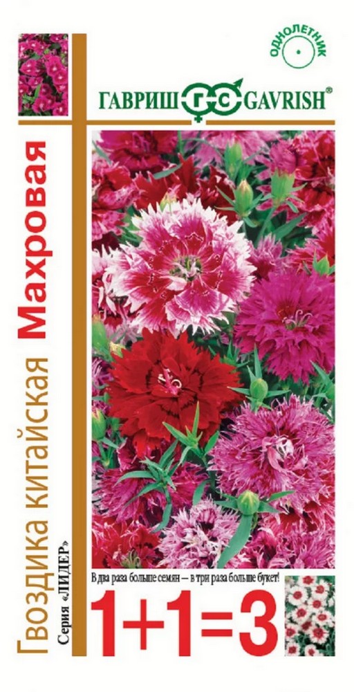 Гвоздика китайская Махровая, смесь, 0,6 г. 1+1