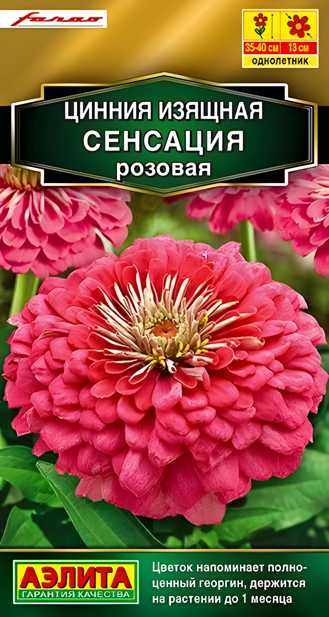 Цинния Сенсация розовая, 12 шт.