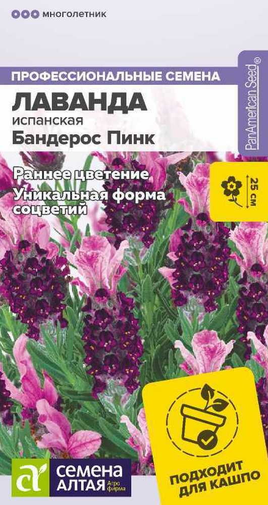 Лаванда Бандерос Пинк испанская, 5 шт.