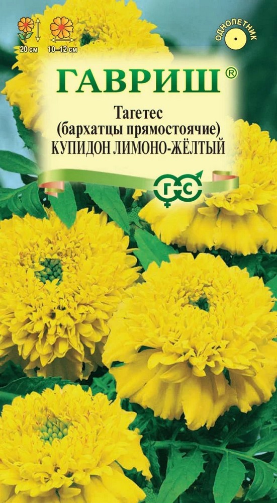 Бархатцы прямостоячие Купидон лимонно-желтый, 0,05 г