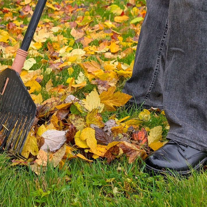 images_cms-image-000063831 (1) 1.png