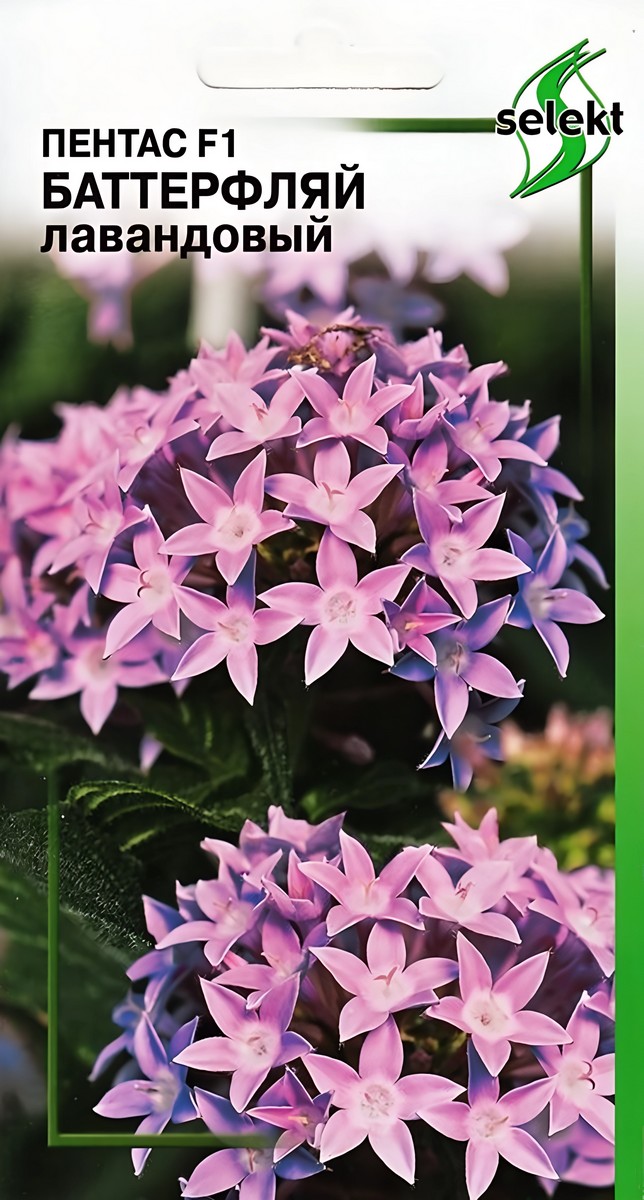 Пентас Баттерфляй, лавандовый, 25 шт.