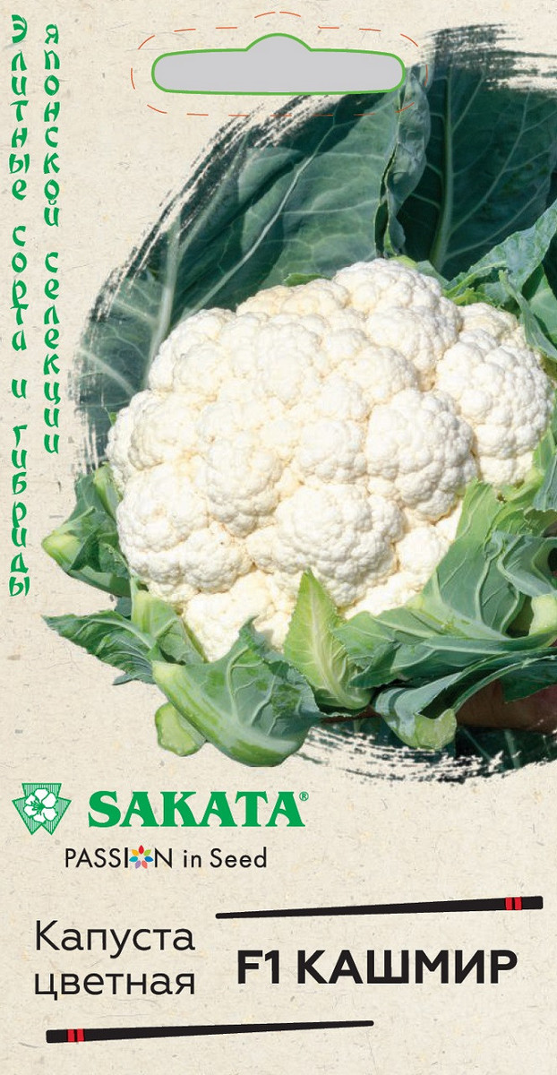 Капуста цветная Кашмир F1, 10 шт. Саката.