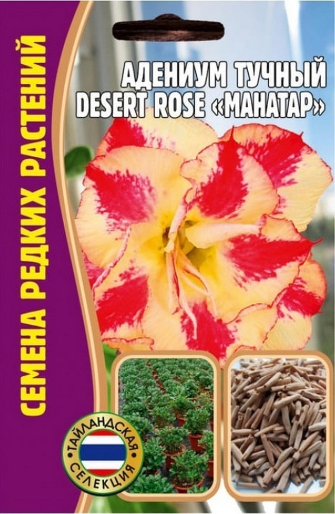 Адениум Mahatap Desert Rose ( Махатап Пустынная роза), 3 шт.
