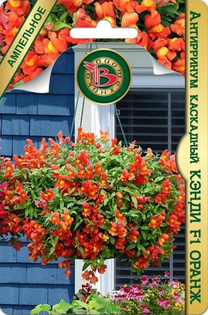 Антирринум каскадный Кэнди Оранж F1, 5 шт. Ампельное Биотехника