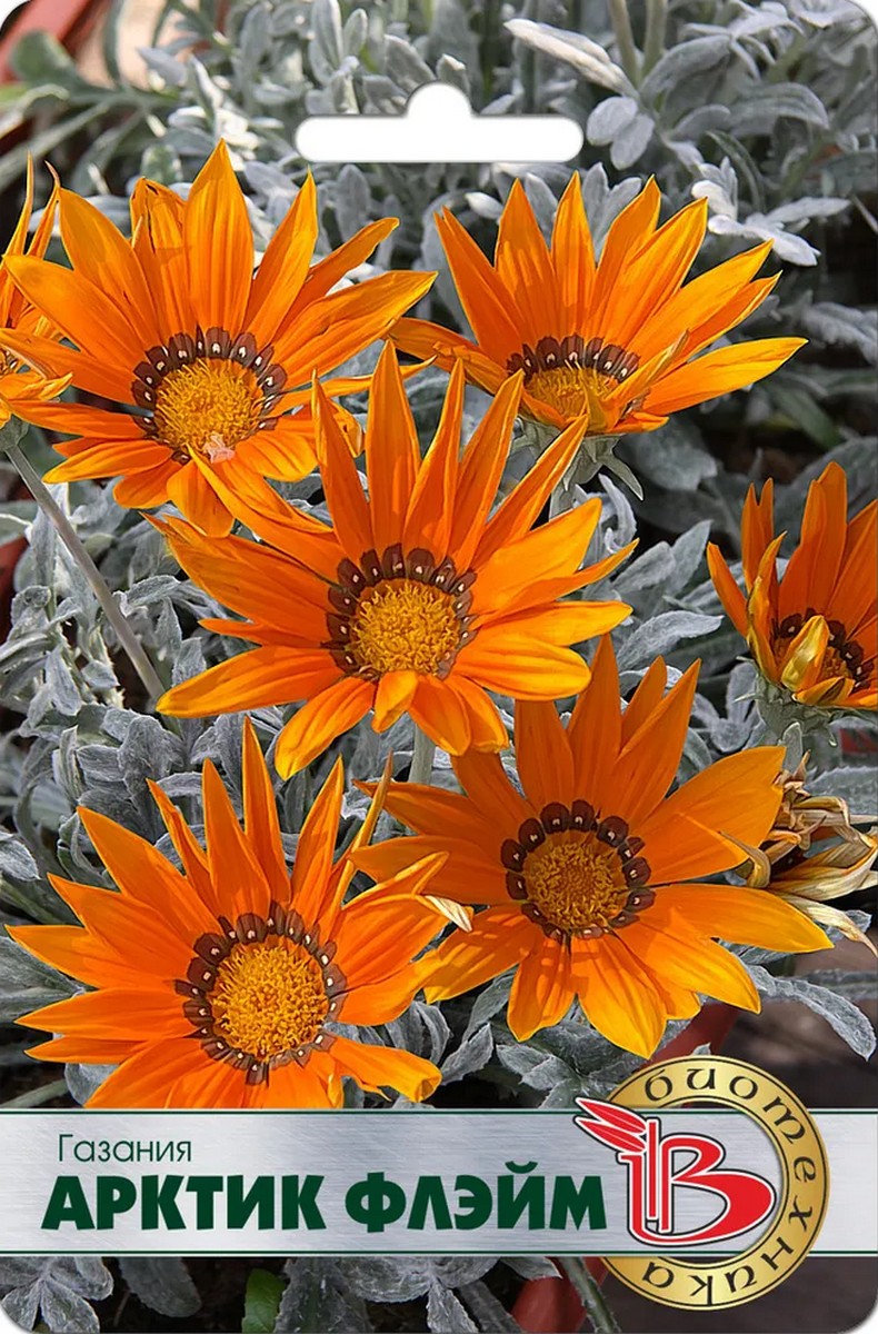 Газания Арктик Флейм, 7 шт. Биотехника