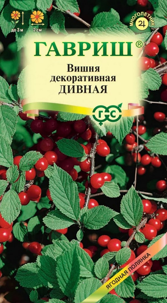 Вишня войлочная Дивная, 0,5 г