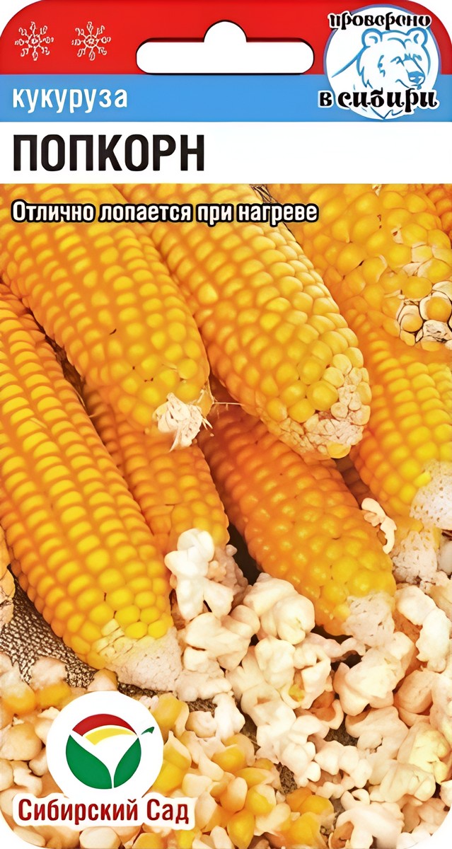 Кукуруза Попкорн, 10 шт. Сибирский сад.