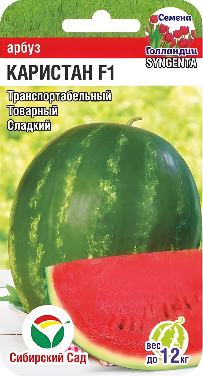 Арбуз Каристан F1, 3 шт. Семена Голландии. Сибирский сад.