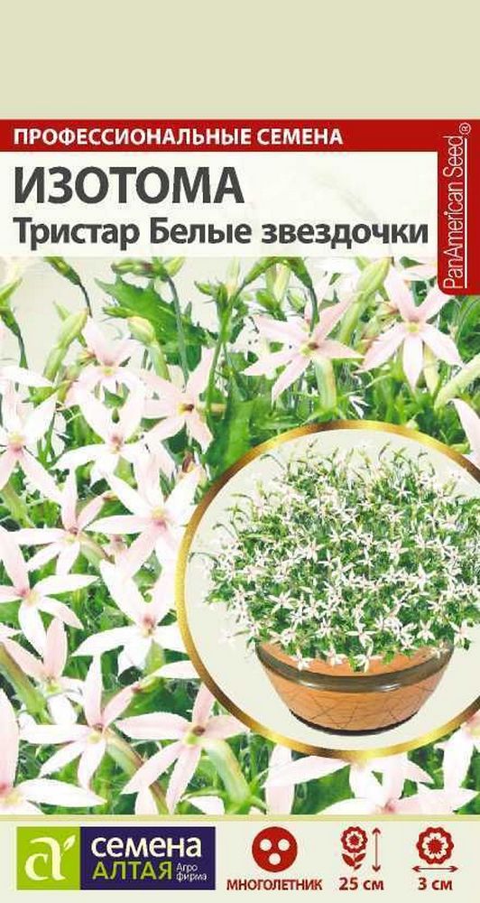Изотома Тристар Белые звездочки, 5 шт. 