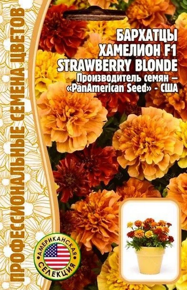 Бархатцы Хамелеон Strawberry Blonde (Клубничный блонд) F1, 5 шт.