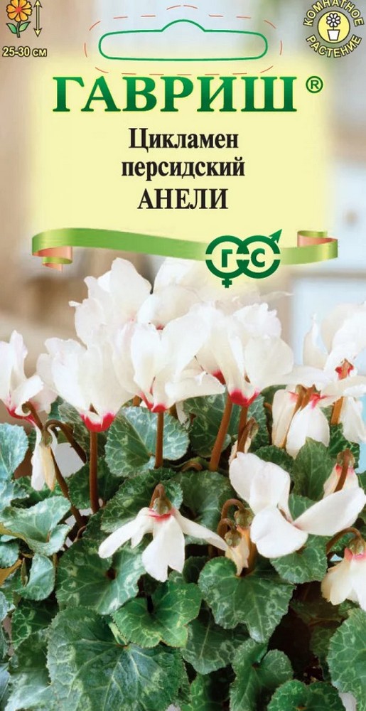 Цикламен персидский Анели, 3 шт. 