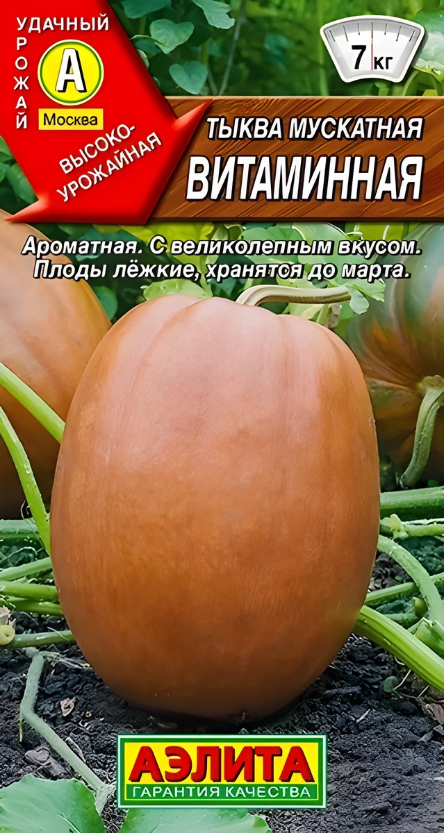 Тыква мускатная Витаминная, 2 г