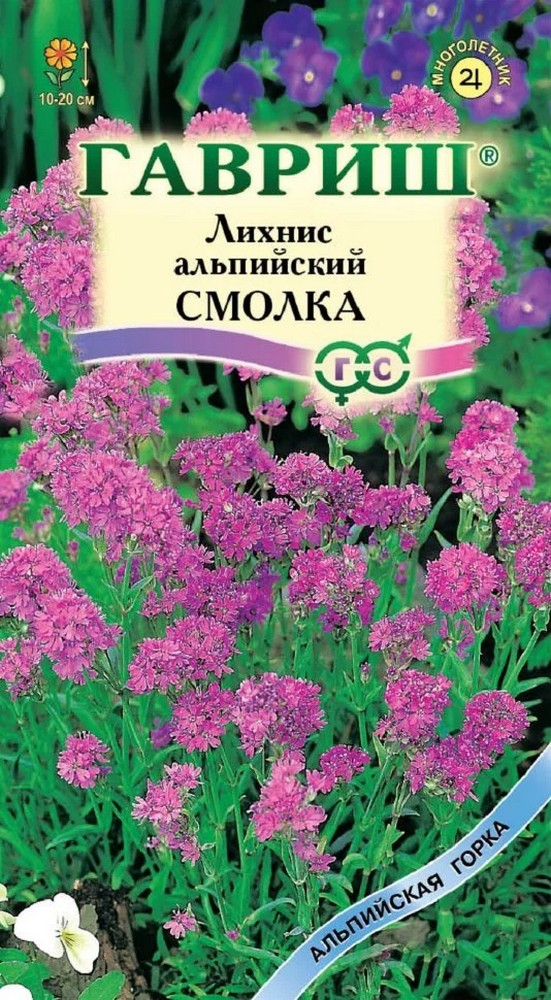 Лихнис альпийский Смолка, 0,05 г. Альпийская горка.