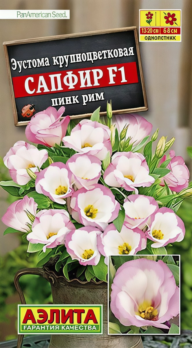 Эустома Сапфир F1 пинк рим крупноцветковая, 5 шт.